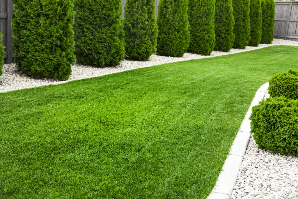 lush green lawn need fertilizer